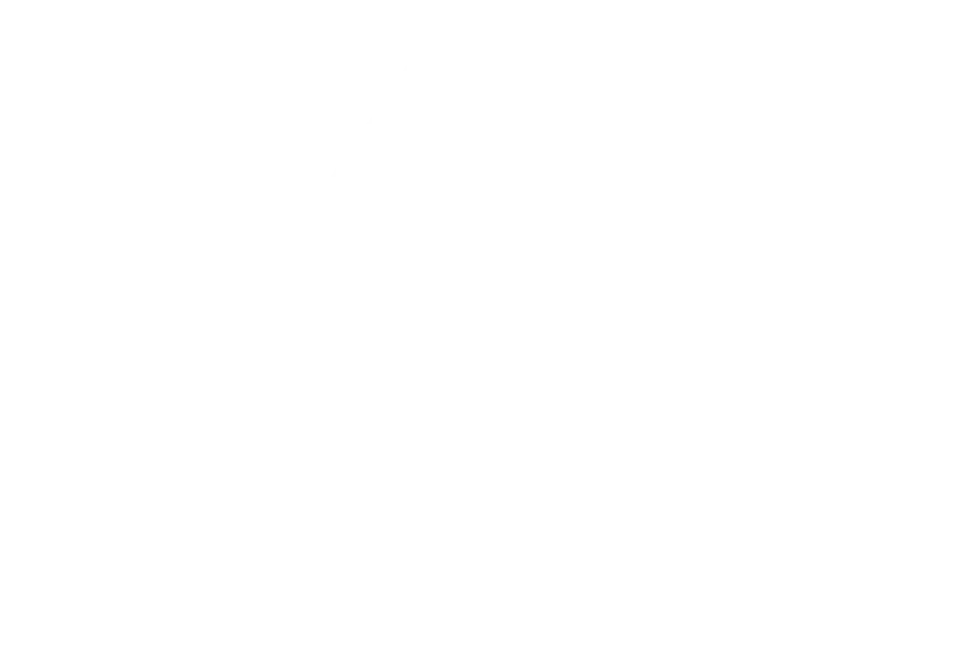 coors light
